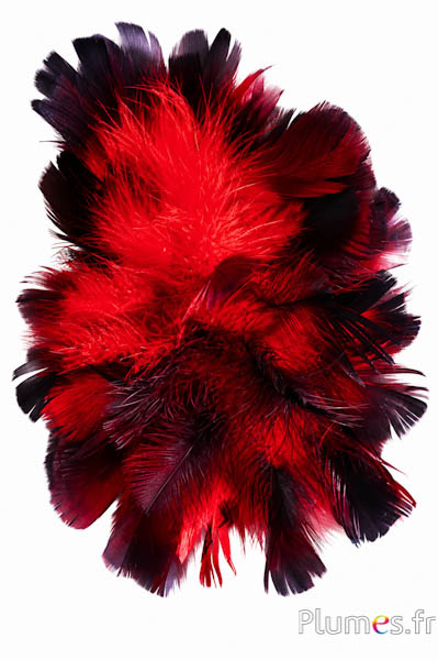 Kalkoen - Ø 18 cm - rood-zwarte koffie